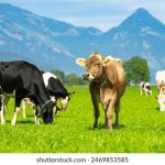 狼窝电影:探寻狼窝背后的故事与深刻寓意 ei9z9g8wg7