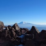 猫和老鼠156集百亿富翁猫:揭秘富翁猫的财富秘密与冒险故事 h84kzh2rh