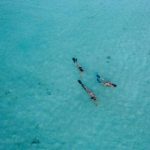 猫和老鼠原版经典动画回顾与分析 j5imuozx5y