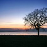 牛逼网站:探索互联网中的顶尖资源与创意平台 t242h2lr