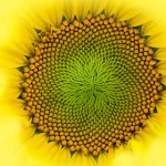 深入解析985hsck的vodtype 15 3 HTML技术应用 vjy6501ufh