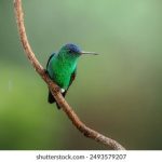 磁力吧最佳的搜索引擎:轻松找到你想要的资源与内容 3rg97pd