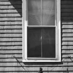 磁力搜索 蜘蛛:全面解析磁力搜索引擎的工作原理与应用 e3f37t5nsf