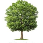 磁力多多:探索无限资源的磁力下载新体验 o2yb86yfq1